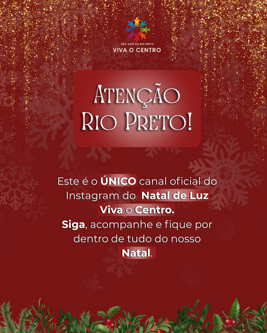Publicação oficial do Natal de Luz Viva o Centro